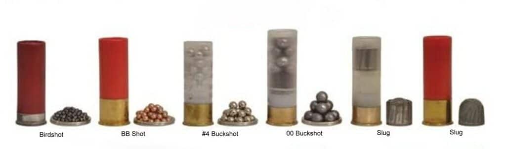 birdshot, buckshot, and slugs